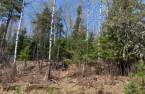 Land/Lot