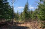 Land/Lot