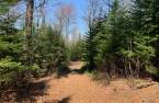 Land/Lot