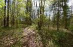 Terre/Terrain