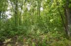 Land/Lot