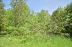 Land/Lot