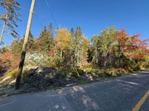 Terrain à vendre à Baie-Saint-Paul — Rang Saint-Jérôme (photo 12)