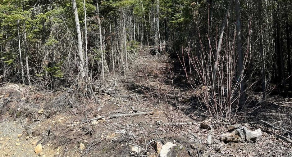 Terre/Terrain