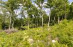 Land/Lot