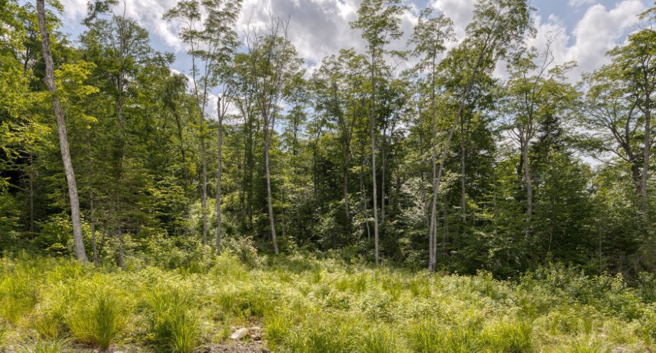 Land/Lot