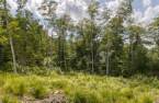 Land/Lot