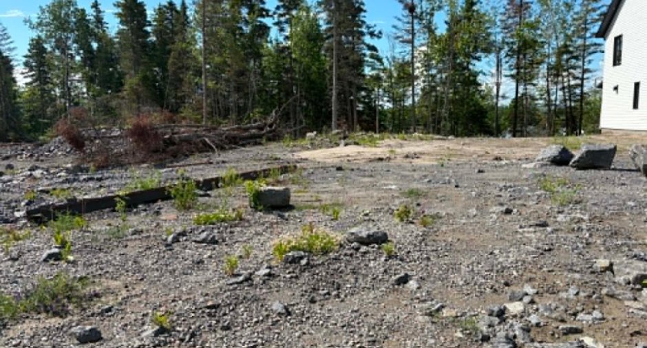 Terre/Terrain