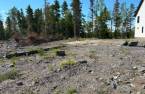 Terre/Terrain