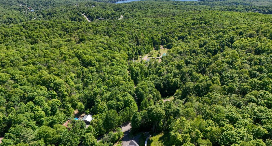 Aerial photo