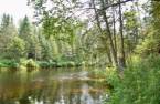 Accès au plan d'eau
