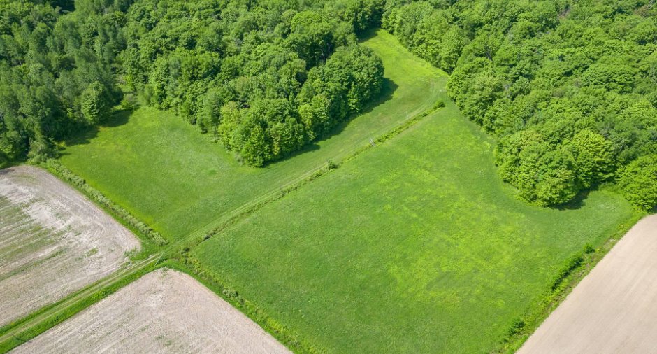 Terre/Terrain