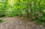 Terre/Terrain