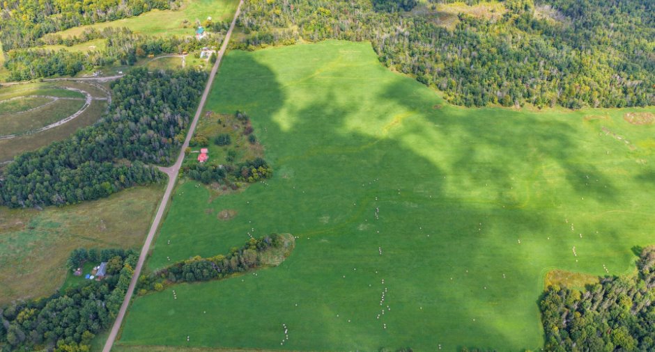 Aerial photo