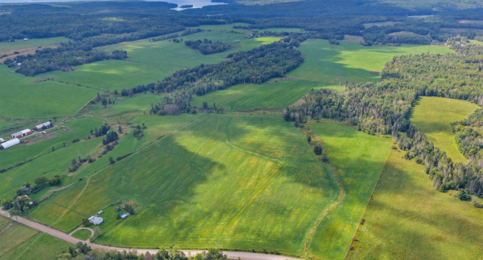 Aerial photo