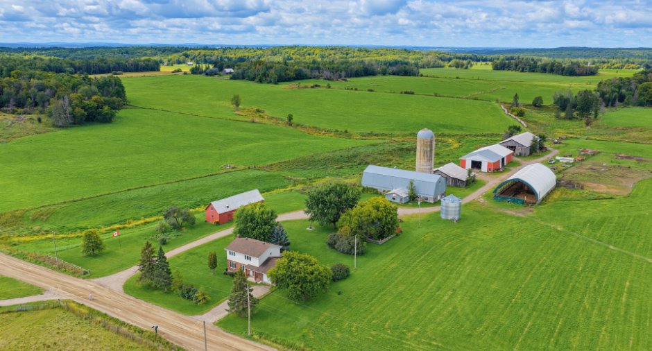 Aerial photo