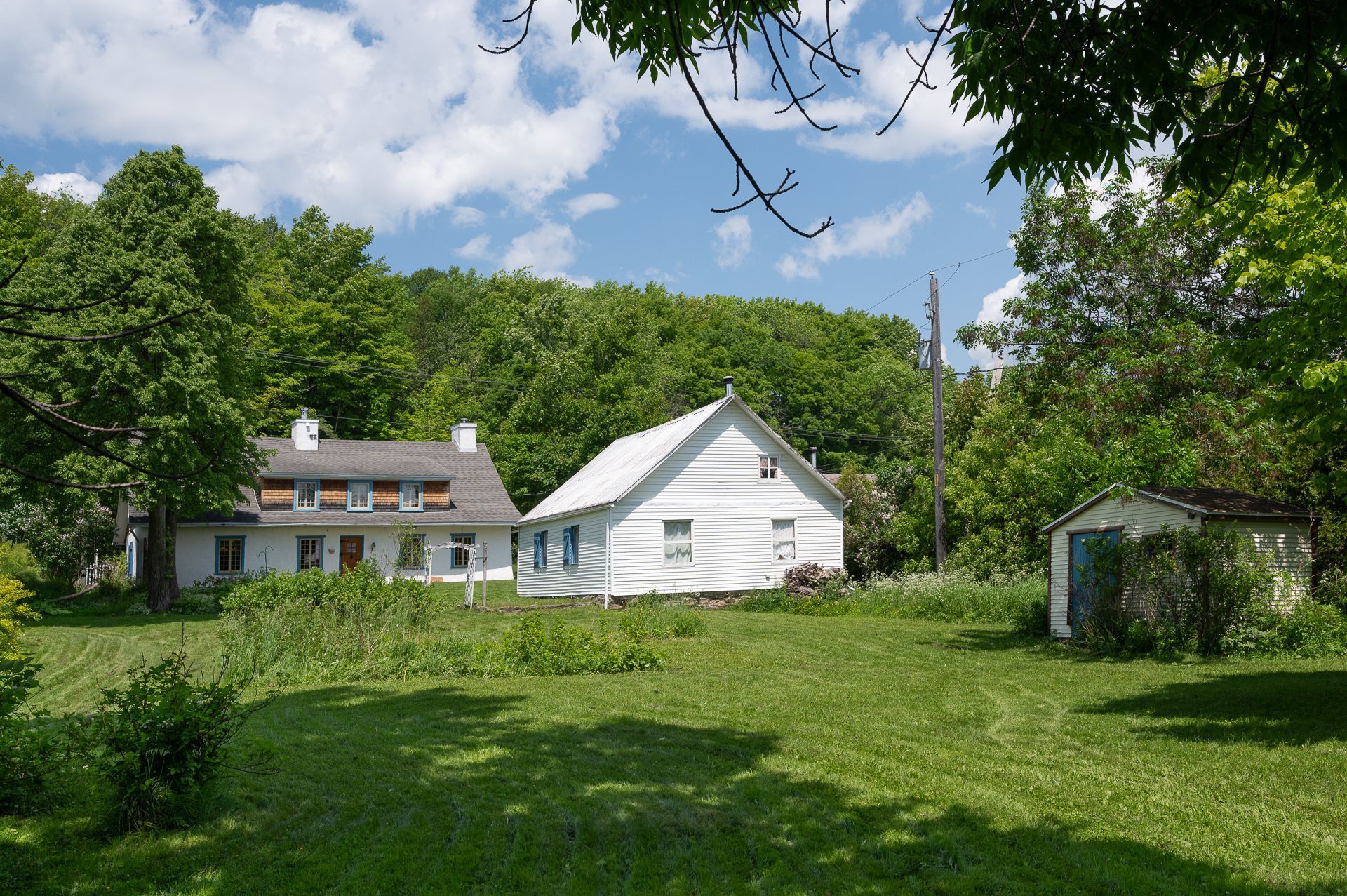 Overall View