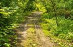 Terre/Terrain