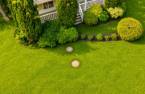 Terre/Terrain