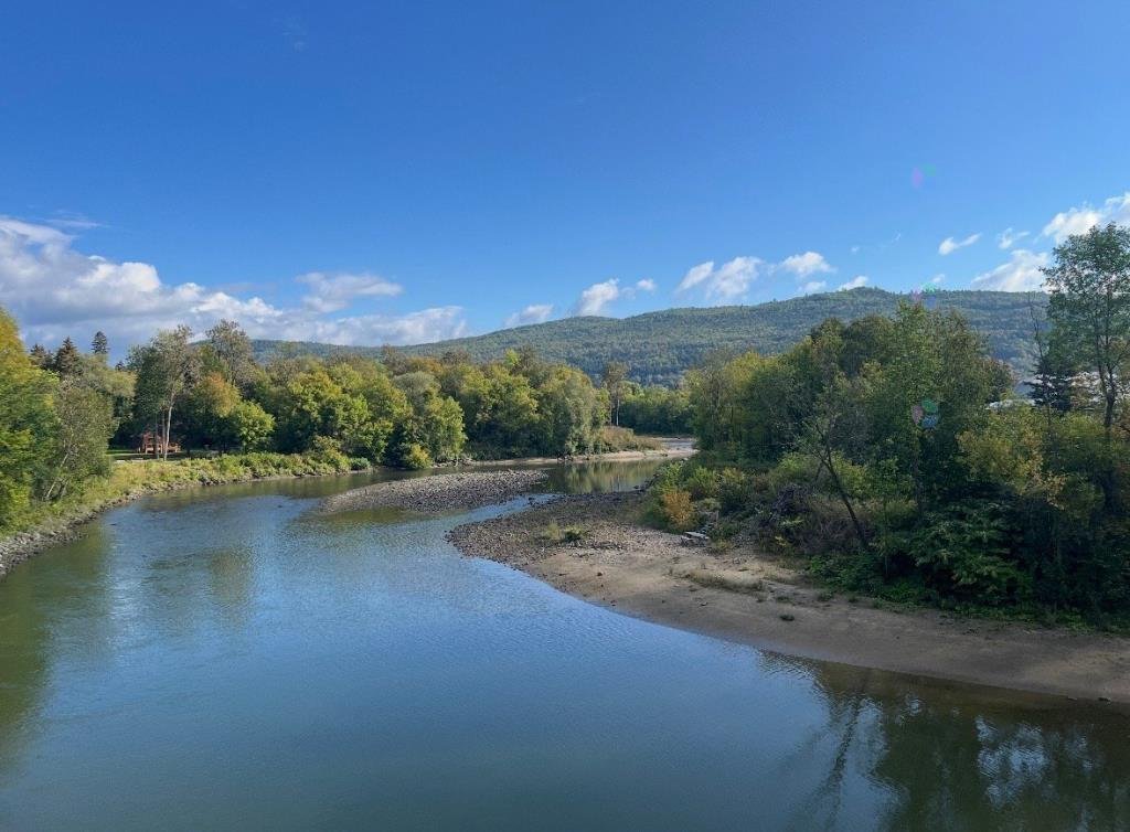 Vue sur l'eau
