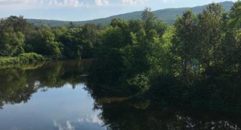 Vue sur l'eau