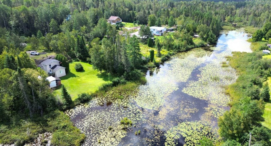 Vue sur l'eau