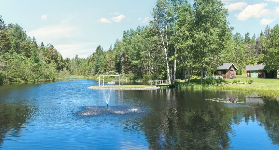 Vue sur l'eau