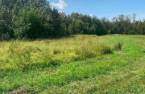 Terre/Terrain