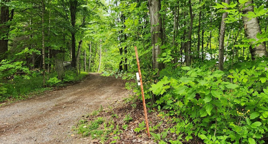Terre/Terrain