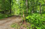 Terre/Terrain