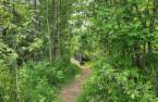 Terre/Terrain