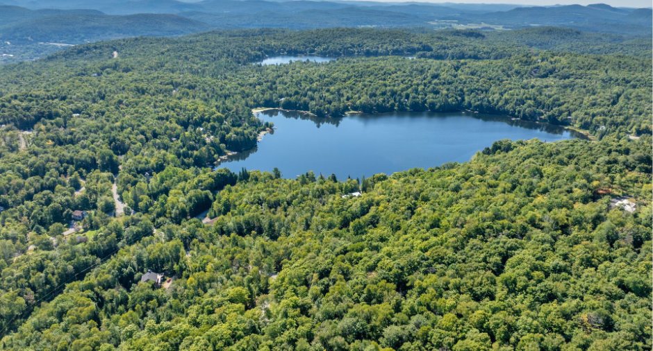 Vue d'ensemble