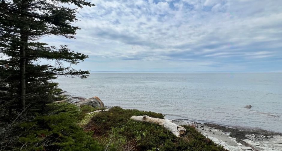 Water view
