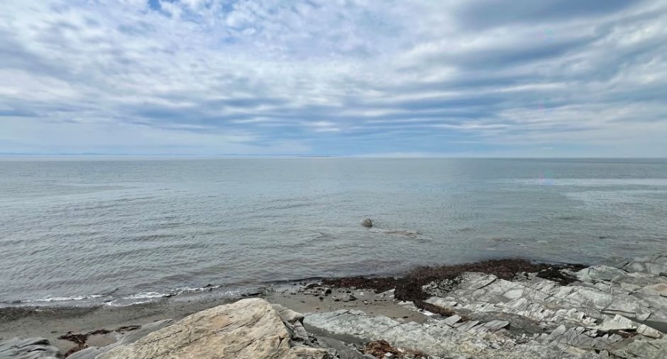 Water view