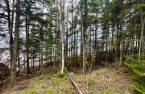 Land/Lot