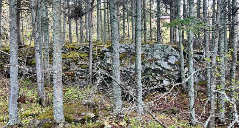Land/Lot