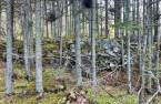 Land/Lot