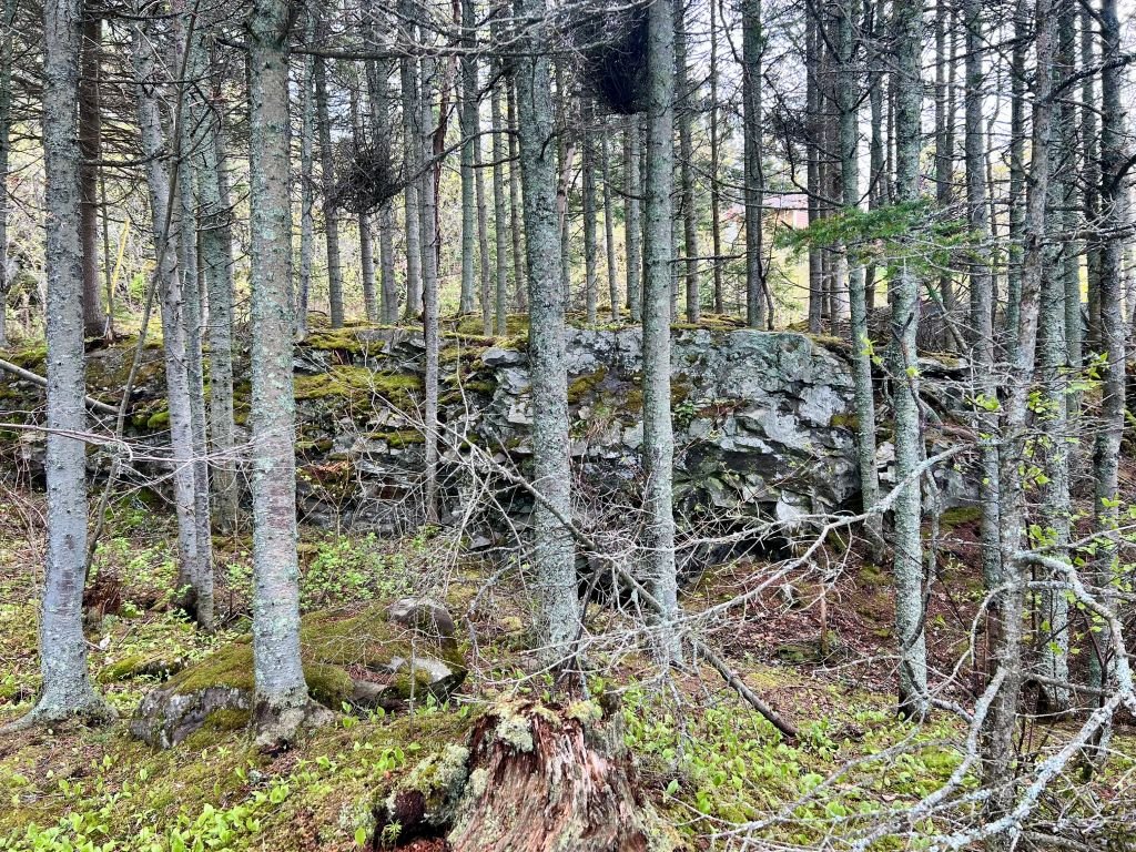 Terre/Terrain