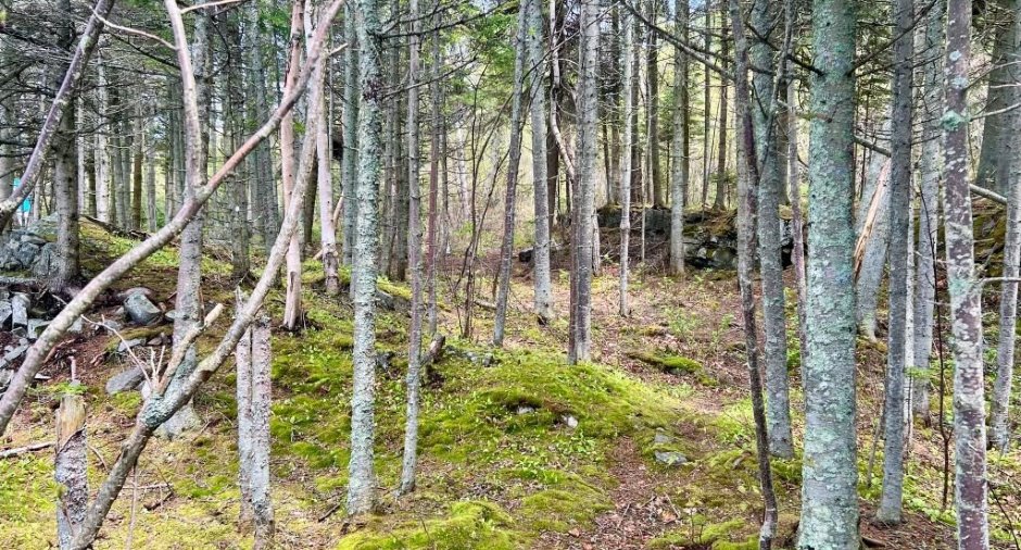 Land/Lot