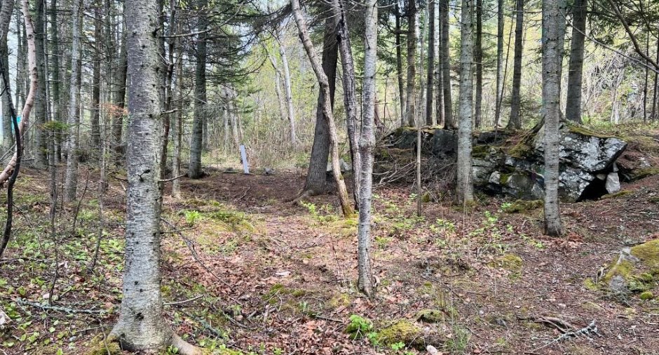 Land/Lot