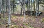 Land/Lot