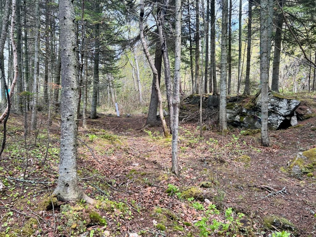 Terre/Terrain