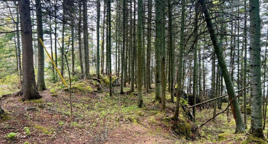 Land/Lot