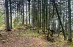 Land/Lot