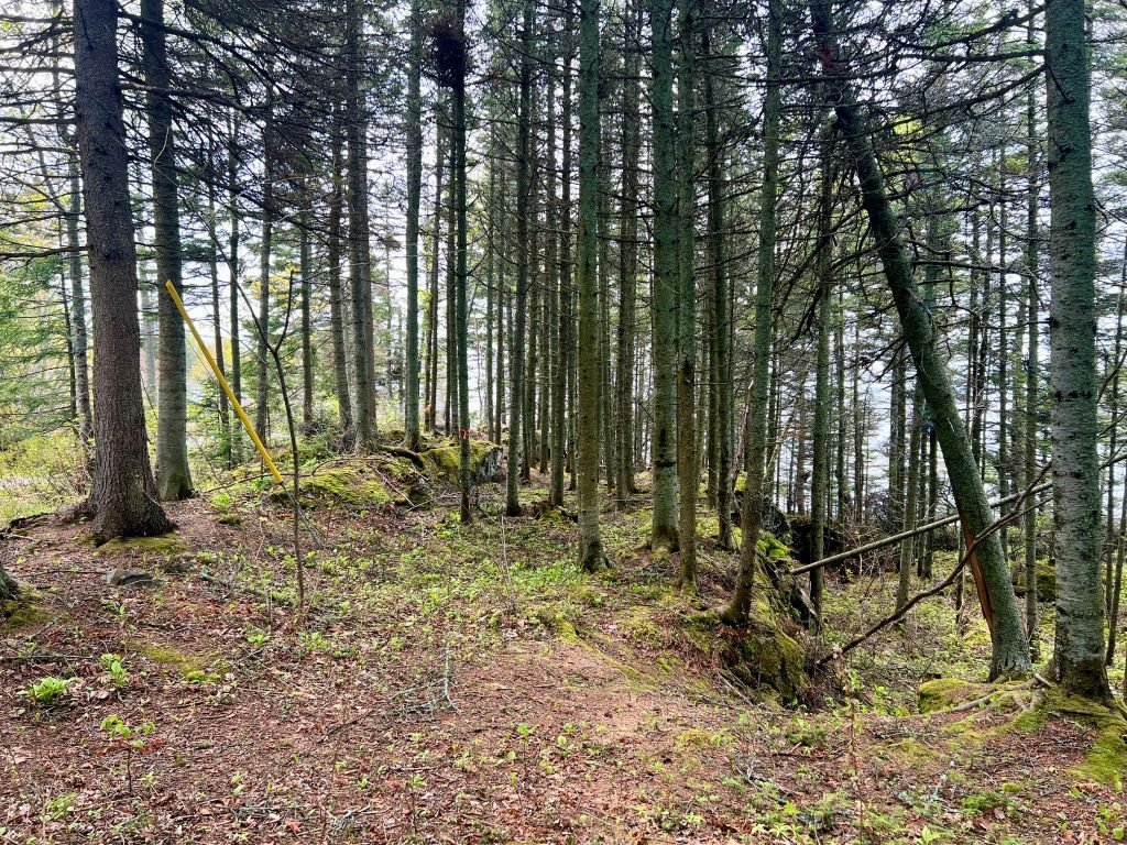 Terre/Terrain