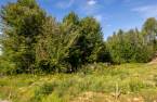 Terre/Terrain