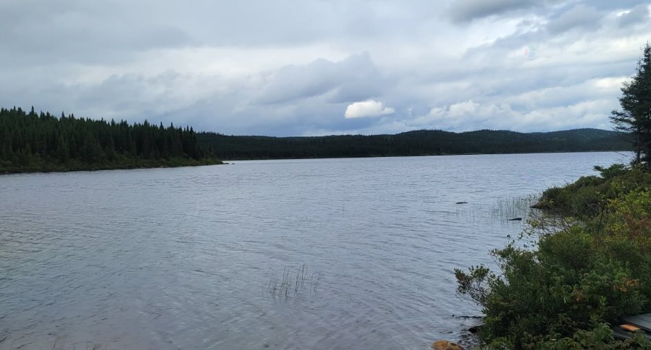 Vue sur l'eau