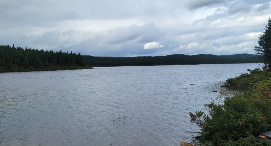 Water view