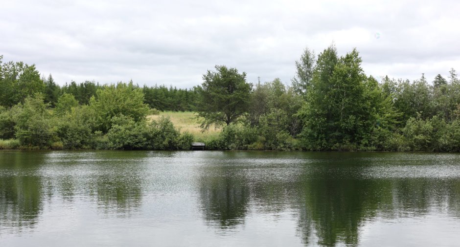 Bord de l'eau