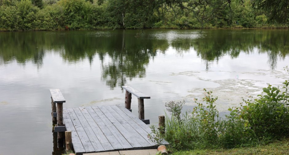 Bord de l'eau